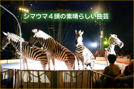 �V�}�E�}�S���̑f���炵���Ȍ|