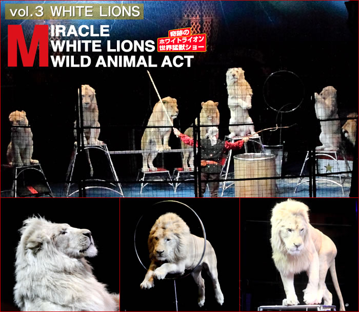 奇跡のホワイトライオン世界猛獣ショー