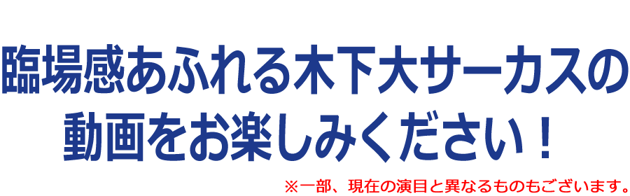 木下大サーカスの動画をごお楽しみください！