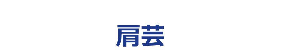 肩芸