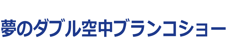 夢のダブル空中ブランコショー