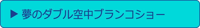 夢のダブル空中ブランコショー