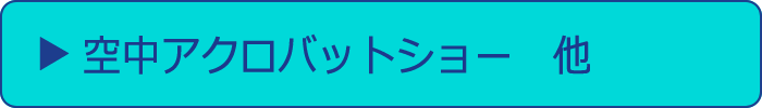空中アクロバットショー　他