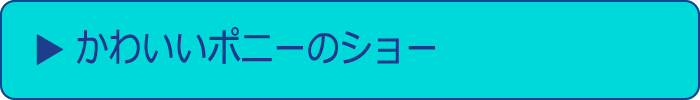 かわいいポニーのショー
